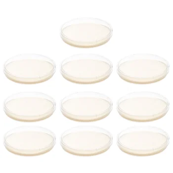 10 Pcs Besin Agar Plaka Bilim Eğitim Ön-Döktü Plakaları Labs Deneyleri Doku Kültürü Petri yemekleri ile