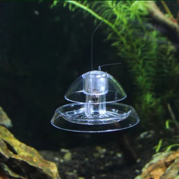 Salyangoz Tuzak Catcher Akvaryum Balık Bitki Tankı Plastik Şeffaf Haşere Yakalama Kutusu Sülük Çevre Bitkiler Planarian Temizleyici Araçları
