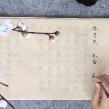 Çin Geleneksel Şiir Xuan Kağıt Defterini Çin Küçük Düzenli Komut Dosyası Fırça Kaligrafi Defterini Çocuk Kaligrafi Copybooks